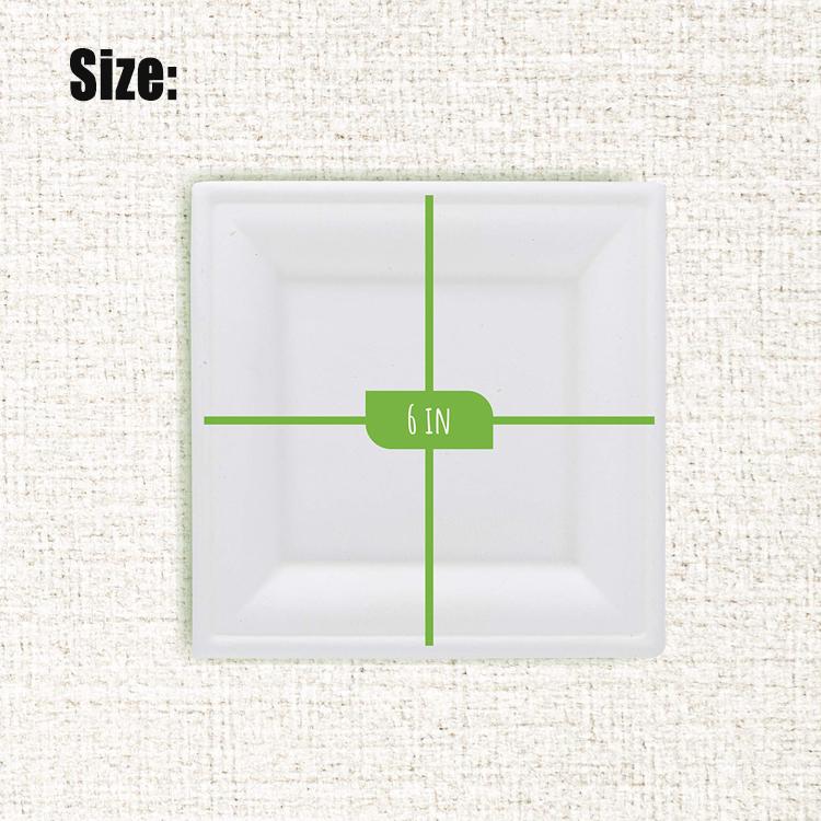 Custom Biodegradeable Disposable Sugarcane Pulp Bagasse Paper Plates - Fastfoodpak