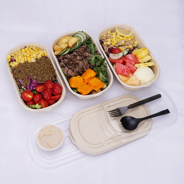 Biodegradable Disposable Sugarcane Paper Bagasse Cake Food Box Lunch Box - Fastfoodpak