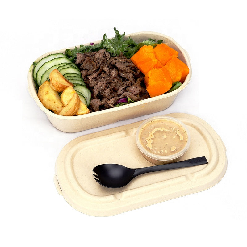 Disposable Biodegradable Food Boxes - Bento Lunch Boxes for Baking, Ca