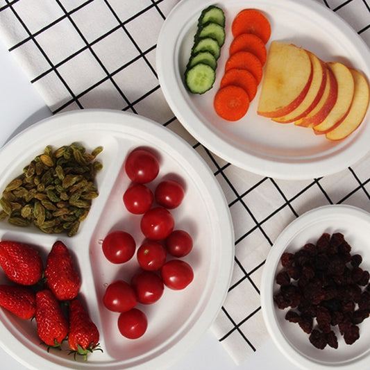 Wholesale Compstable Natural Pulp Material Bagasse 10 Inch Paper Plates - Fastfoodpak