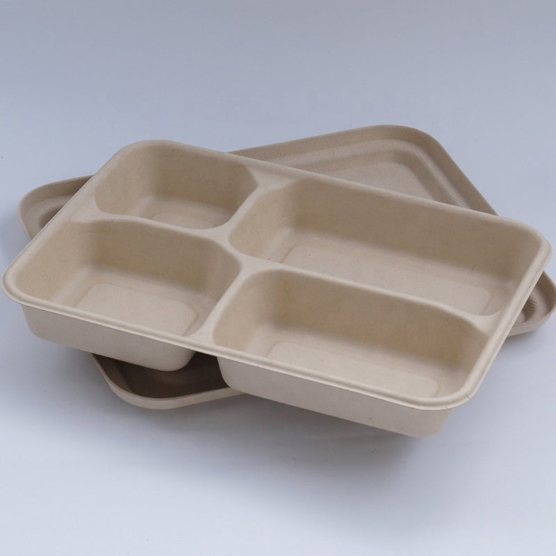 10 Partition Box, Plastic, Rectangle Container