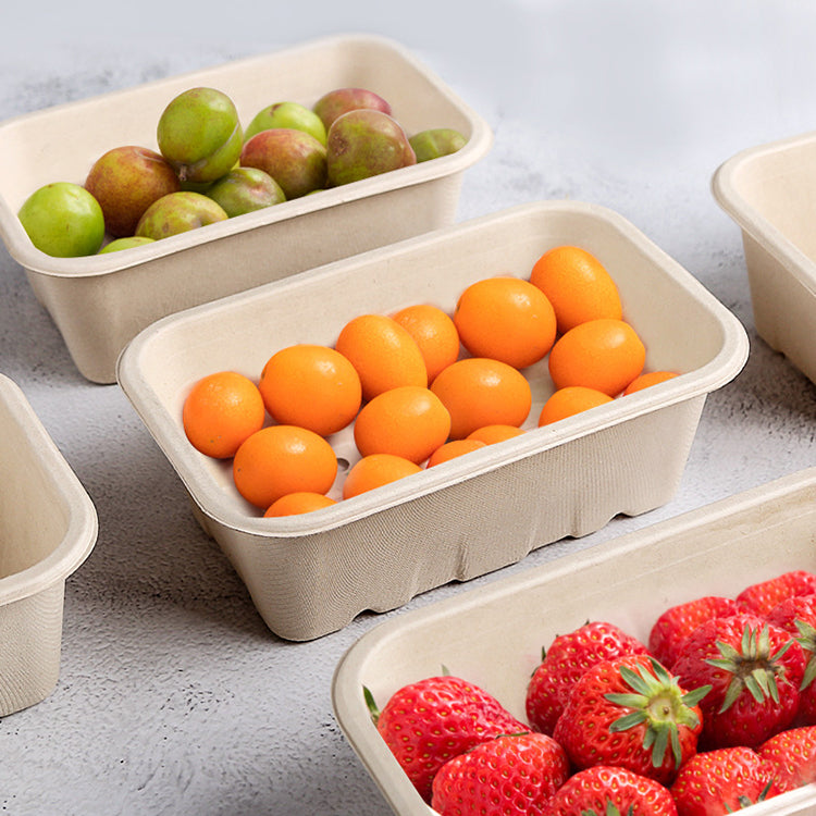 Wholesale Factory Price Compostable Dinnerware Disposable Biodegradable Packaging Containers