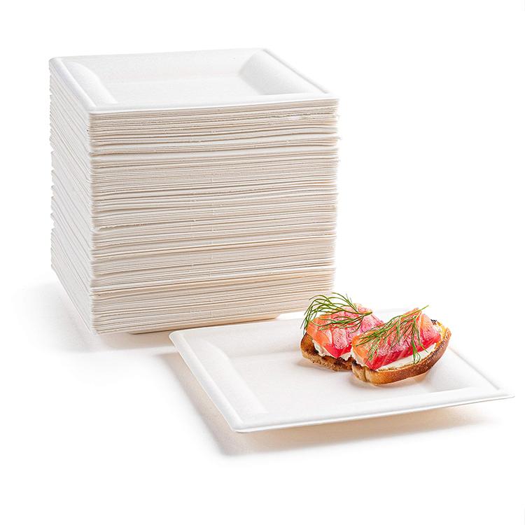 Assiettes en papier de bagasse de pulpe de canne à sucre jetables biodégradables faites sur commande