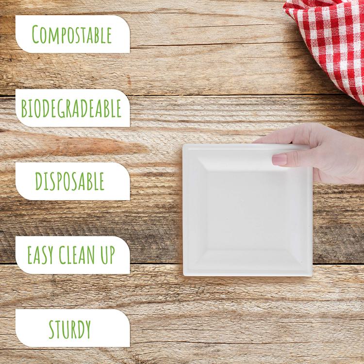 Platos de papel de bagazo de pulpa de caña de azúcar desechables biodegradables personalizados