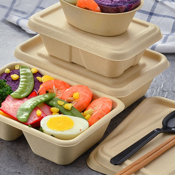 Biodegradable Pulp Paper Food Container Disposable Food Container Paper Box - Fastfoodpak