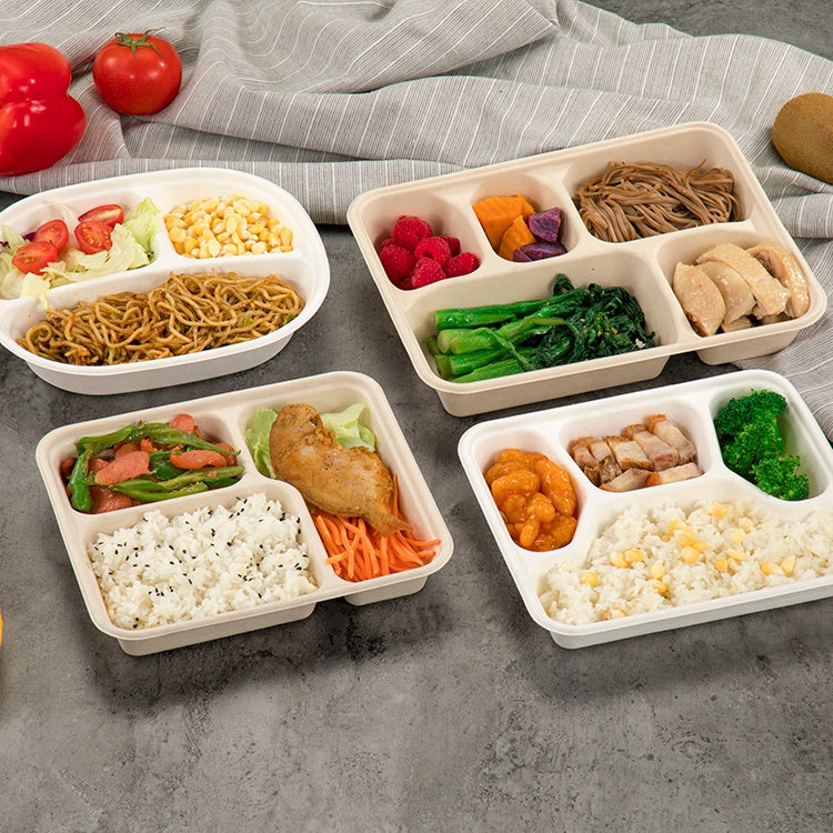 Biodegradable Food Container Paper Pulp Container Box Bento Box