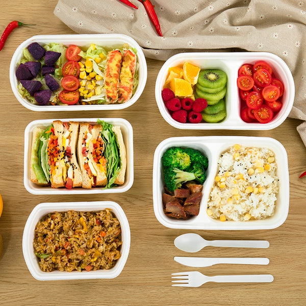 Biodegradable Food Container Paper Pulp Container Box Bento Box - Fastfoodpak
