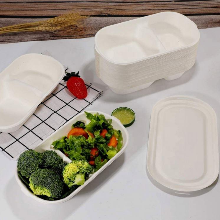 Caja de bagazo Contenedores de comida para llevar personalizados biodegradables
