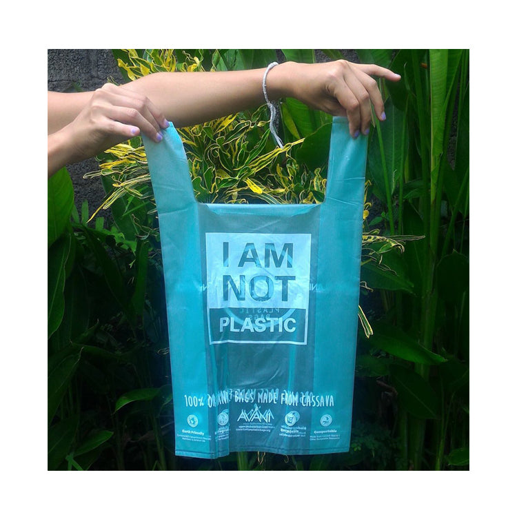 Eco Friendly Plant Based PLA Biodegradable Compostable Plastic Bags –  Fastfoodpak