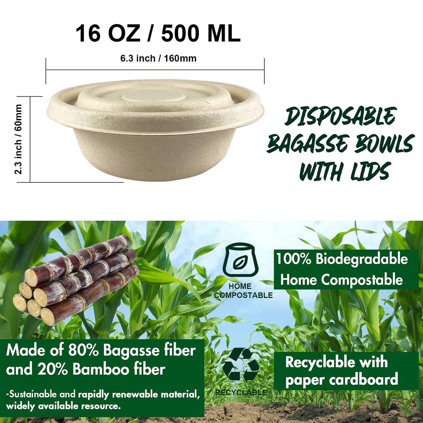 Hamburger biodégradable jetable compostable écologique à emporter boîte d'emballage de restauration rapide