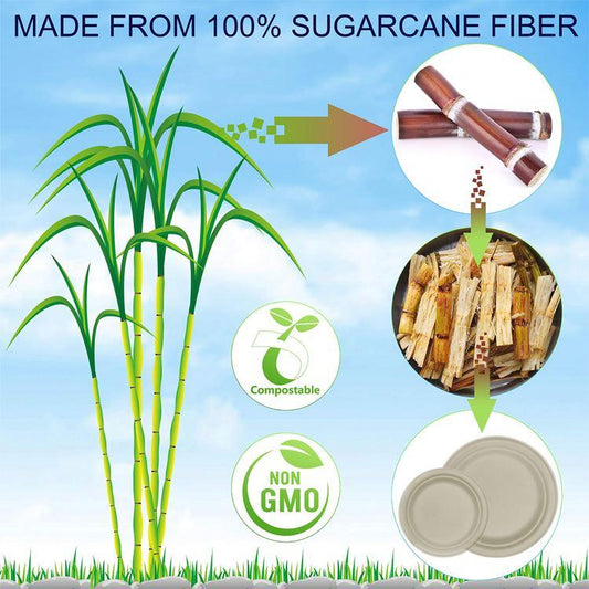 Disposable Dinnerware Set Compostable Cutlery Biodegradable Sugarcane Paper Plates Forks Spoons for Party BBQ Picnic