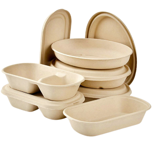3/5 Compartment Bagasse Paper Pulp Food Tray Packaging Disposable Cont –  Fastfoodpak
