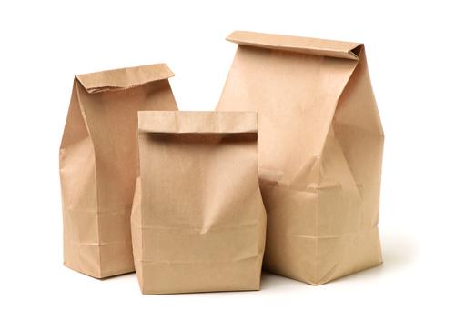 Cheap Wholesale 19 Inch Kraft Paper Grocery Shopping Bags — BagsInBulk.com