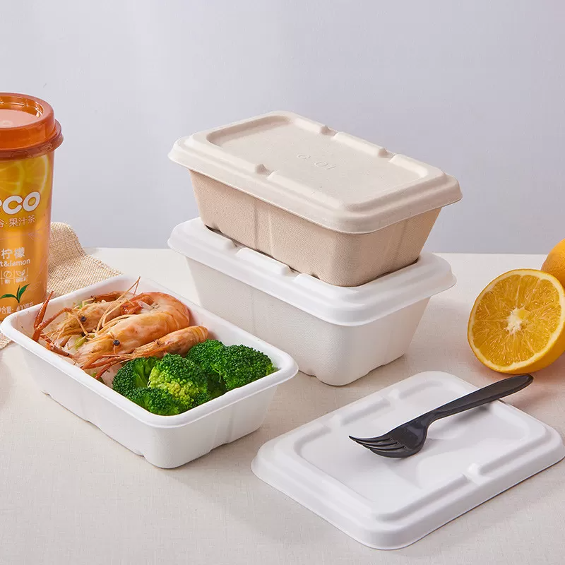 Biodegradable 5 Compartments Meal Disposable Sugarcane Bagasse Lunch Tray