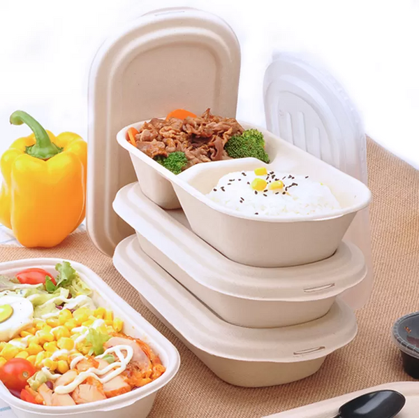 Biodegradable 5 Compartments Meal Disposable Sugarcane Bagasse Lunch Tray - Fastfoodpak